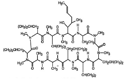 Cyclosporine Structure. (Cyclosporine Structure)